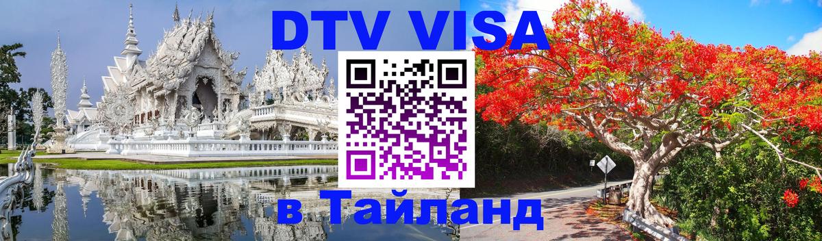 Оформление DTV визы под ключ: стоимость и тарифы, только загранпаспорт - Чебоксары  04.10.2025 